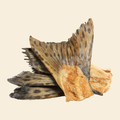 Close-up of freeze-dried salmon tails, showing crispy skin rich in Omega-3 fatty acids for dog skin and coat health.