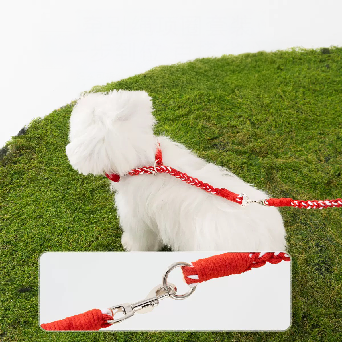 Detail view of the heavy-duty rust-proof swivel clip connecting the red leash to the collar. Designed to handle enthusiastic pullers
