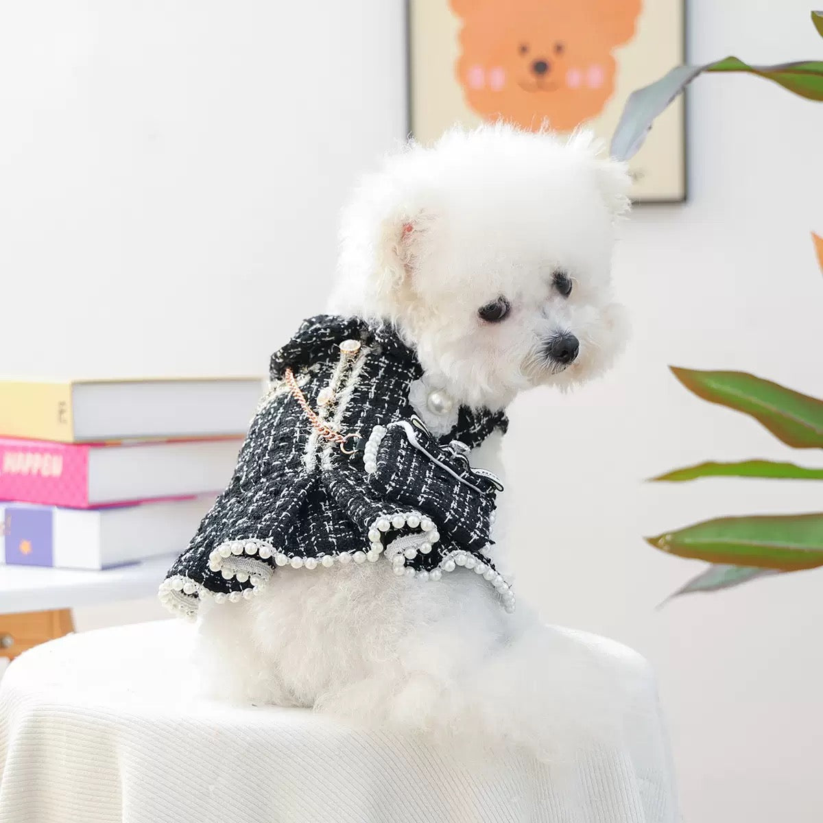 White Bichon Frise wearing the Luxury Tweed Dog Dress. Features a chic black French-style design with elegant pearl accents and a mini decorative backpack