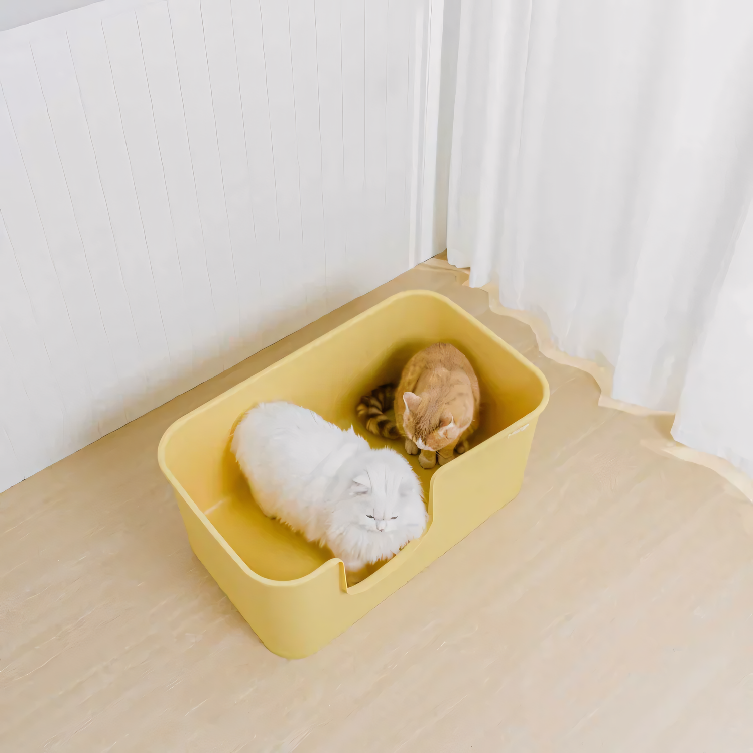 fluffy white cat and an orange tabby cat sitting comfortably together inside the massive 79.5cm XXL litter box, showcasing its multi-cat capacity.