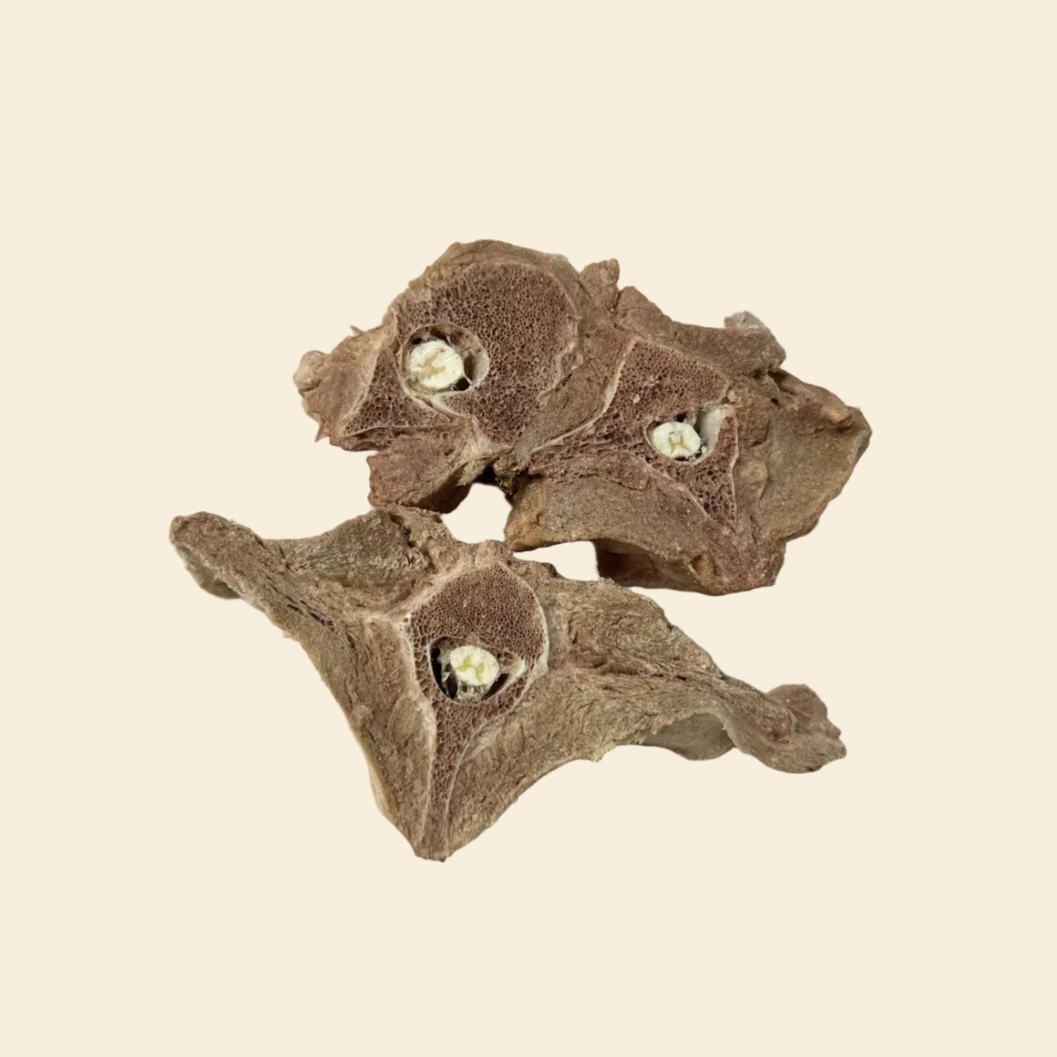 Detail of freeze-dried lamb spine bone on a plate, showing the porous honeycomb structure that naturally scrapes away plaque and tartar.