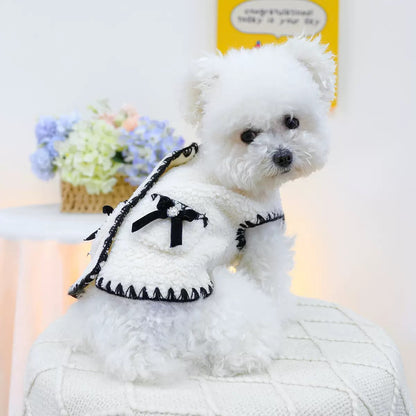 A cute white puppy looking back in the &