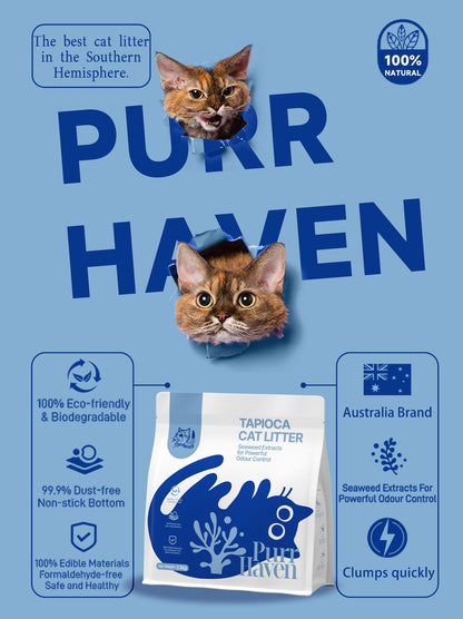 A professional promotional poster for PurrHaven Tapioca Cat Litter featuring a blue theme. Two cats peek through torn paper. The text highlights it as an Australian brand featuring seaweed extracts for powerful odour control and quick clumping.