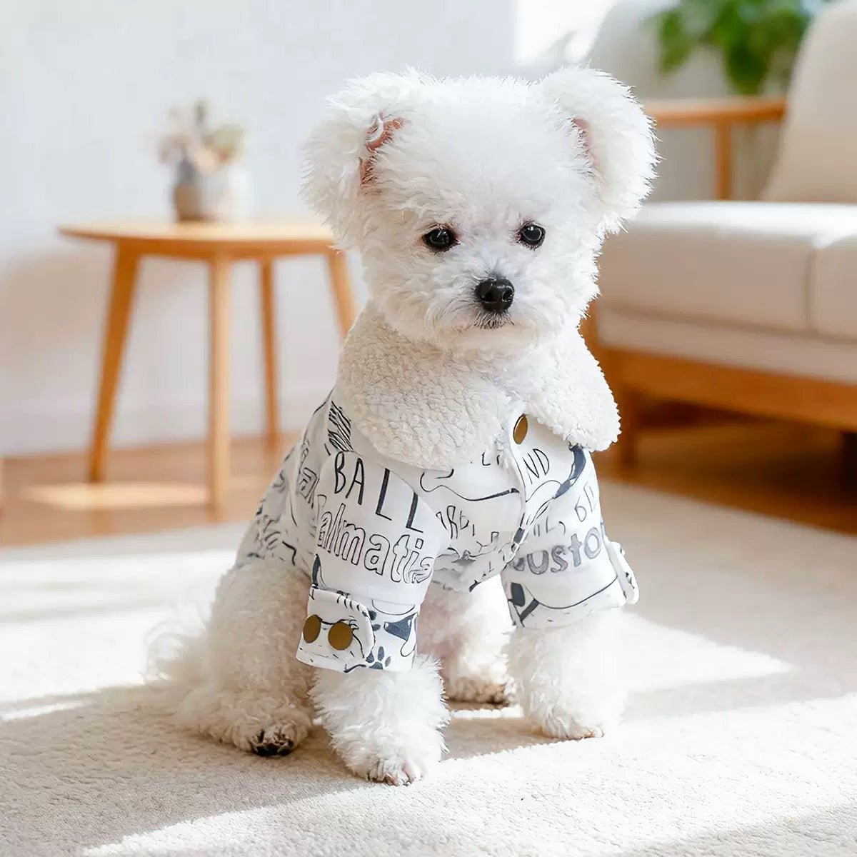 ront view of the Doodle Art Parka showing the silent snap-button closure. Designed for stress-free dressing without zippers that snag fur.