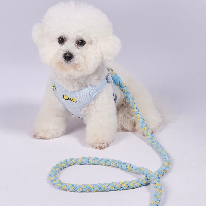 White dog wearing the vibrant yellow and blue hand-woven leash. A stylish and functional accessory for park adventures