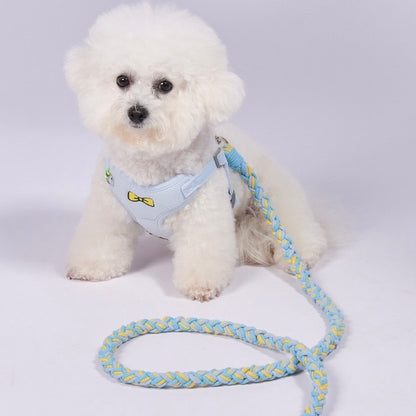 White dog wearing the vibrant yellow and blue hand-woven leash. A stylish and functional accessory for park adventures
