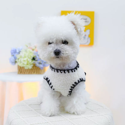 Front portrait of a dog wearing the Little Fragrance vest, featuring a high-quality whipstitch collar that provides a cozy, snug fit around the neck.