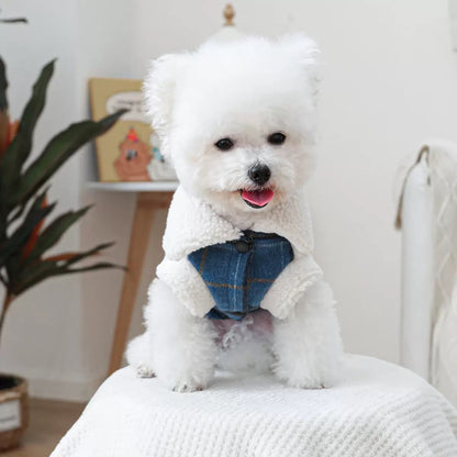Front view of a small white dog wearing the fleece-lined winter coat. The plush faux-shearling collar provides sensory-soothing warmth against the cold