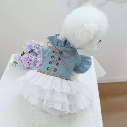 Back view of a white Bichon wearing the Western Chic Denim Dog Dress. Features a rugged light-blue denim bodice with a lace-up corset back and tiered white lace tutu skirt