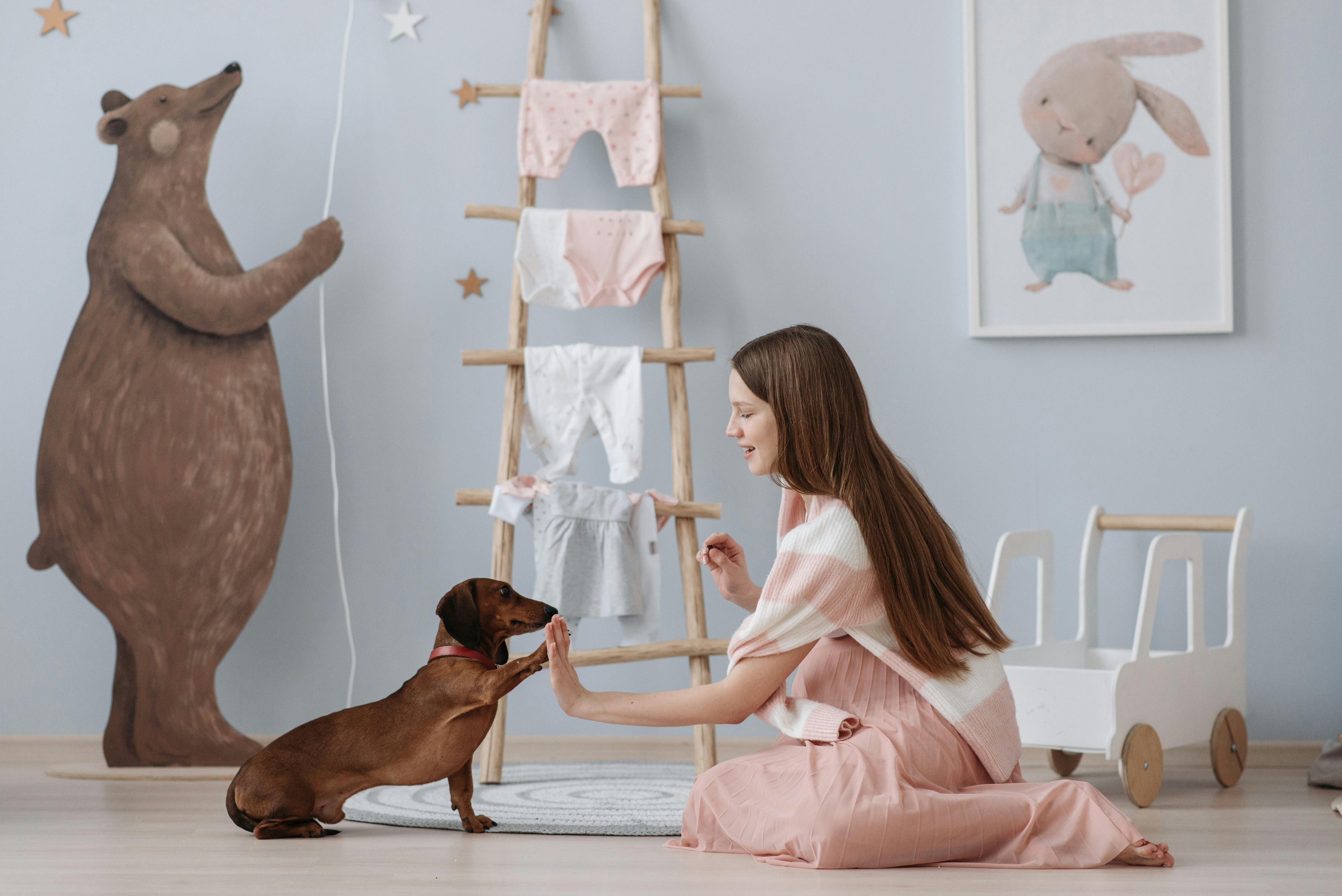 A heartwarming lifestyle photograph of a young woman with long hair sitting on a light-colored floor, gently high-fiving a small brown dachshund dog wearing a red collar. The background features a cozy, nursery-style room with a wooden ladder and playful wall art, perfectly capturing the LéJoyee philosophy of treating pets as family.