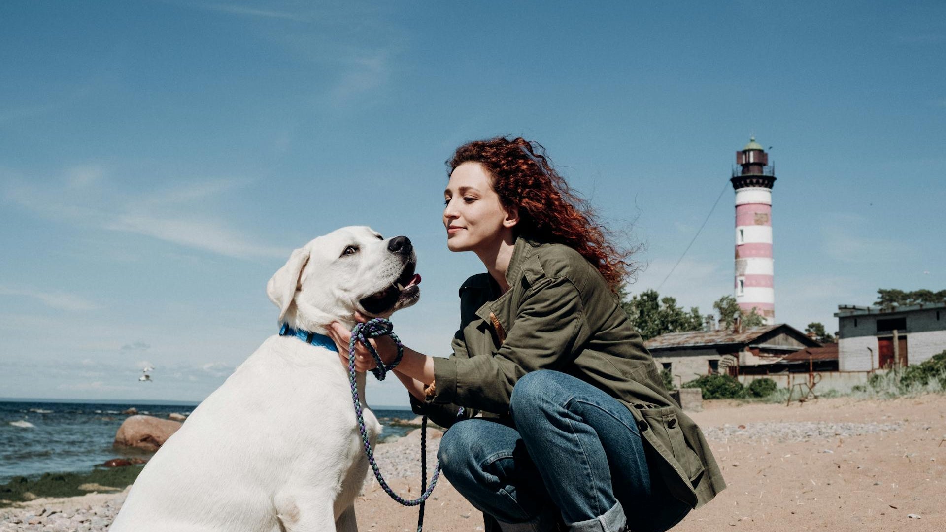 A beautiful lifestyle photograph of a woman with curly red hair gently petting a large white Labrador dog on a sandy beach. In the background, a striped lighthouse stands against a clear blue sky, perfectly capturing the LéJoyee spirit of companionship and outdoor adventure with pets.