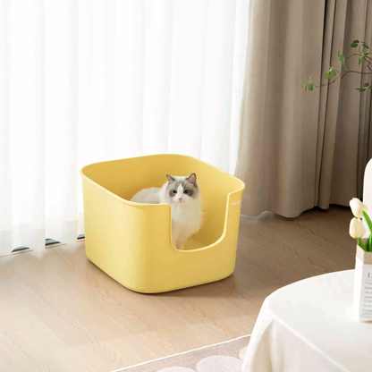A fluffy Ragdoll cat sitting inside the lemon yellow Mango Cube open-top litter box, showcasing the high 34cm walls that prevent litter tracking.