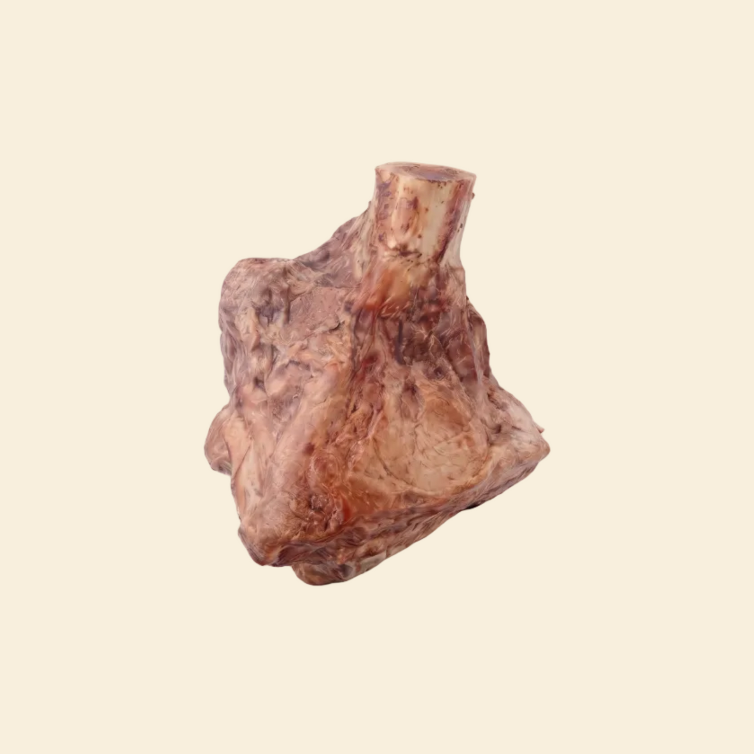 A close-up of a robust, single-ingredient freeze-dried lamb shank bone on a clean white background, showcasing the dense structure and preserved marrow designed specifically for power chewers.