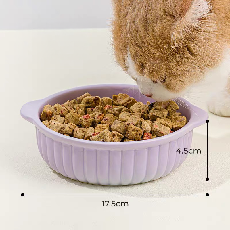 A ginger and white cat eating freeze-dried treats from the purple Mango Dual-Ear Ceramic Pet Bowl. Graphic overlays indicate a 17.5cm width and a comfortable 4.5cm depth.