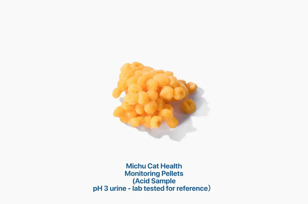 MICHU Cat Urine pH Monitoring Pellets showing an orange colour response after contact with a laboratory pH 3 acidic urine reference sample