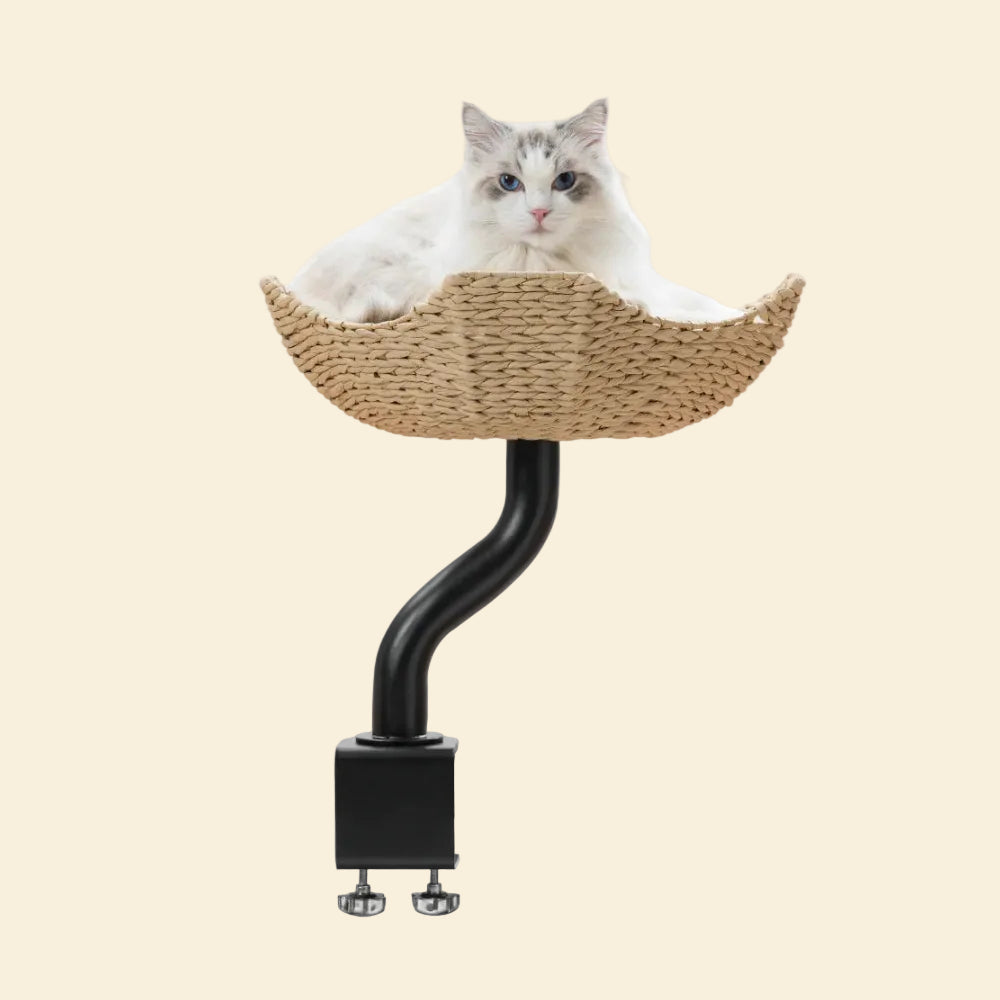 A fluffy Ragdoll cat resting in the Michu DeskMate Desk-Mounted Cat Tree featuring a black curved metal arm and an eco-friendly woven basket.