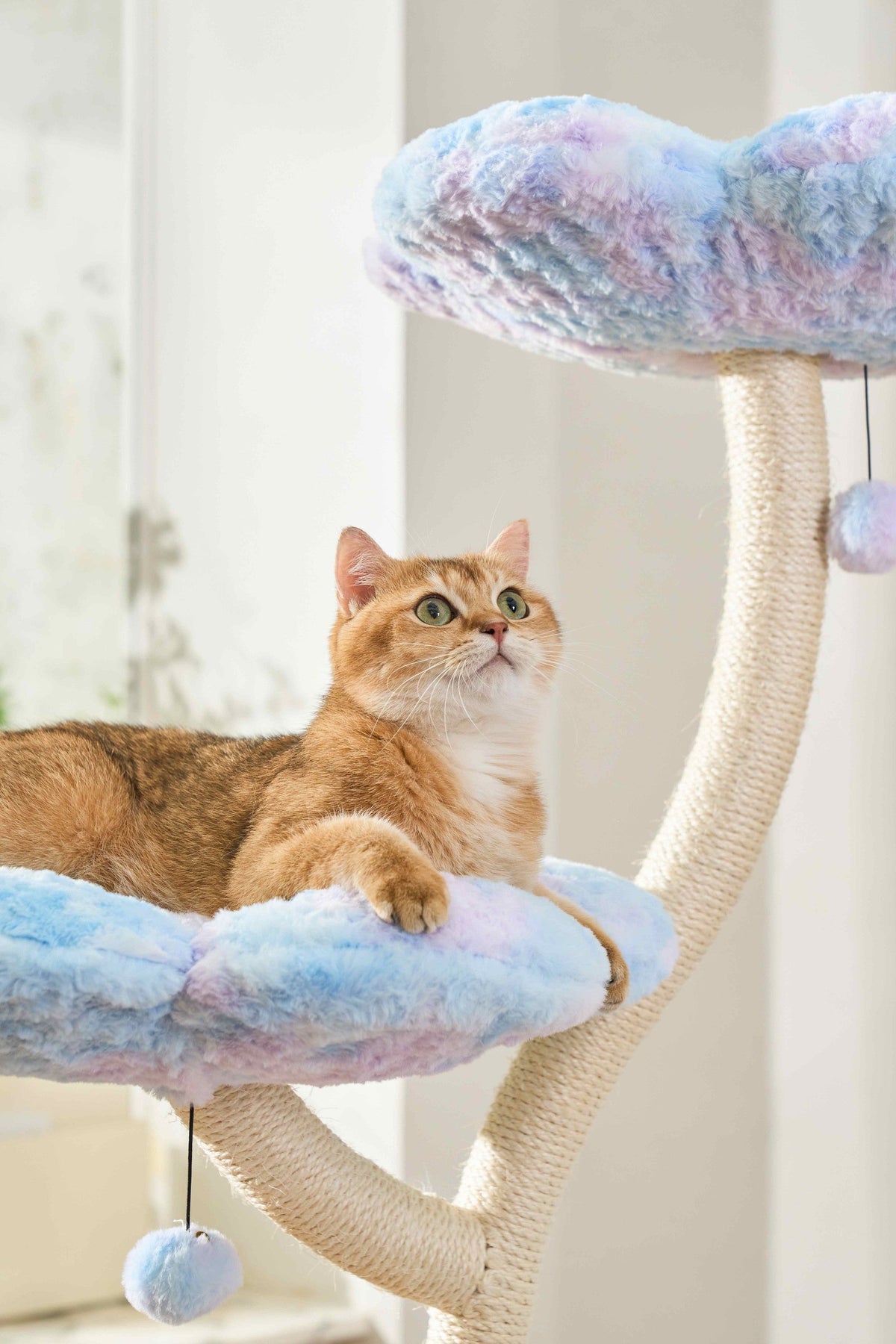 Cat lounging on a pastel Aurora flower perch beside a hanging pom-pom toy