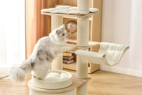 A fluffy white cat exploring the different levels of the minimalist Michu Luna wooden cat tree, featuring a stylish wood and cream aesthetic for contemporary homes.