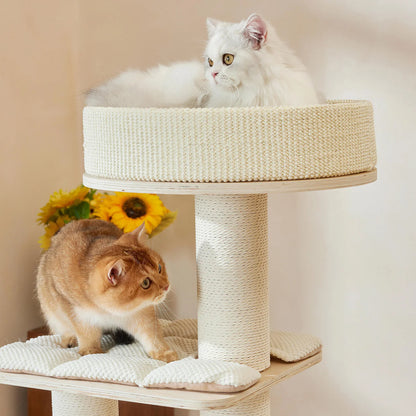 Two cats enjoying the multi-level Michu Luna cat tree. A white fluffy cat rests on the top lychee-textured cushion while a golden cat explores the middle platform.