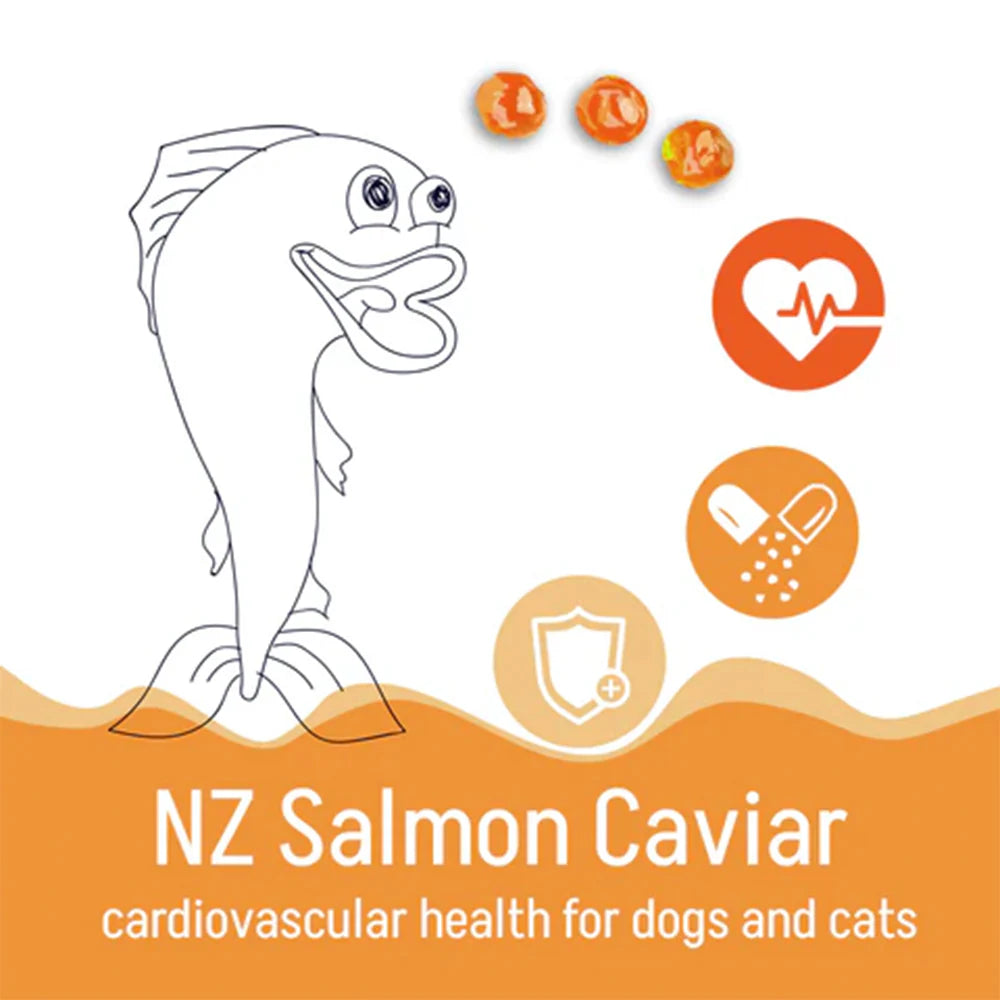 Infographic featuring a drawing of a salmon and caviar pearls, highlighting the cardiovascular, brain, and immunity health benefits of NZ Salmon Caviar for dogs and cats.