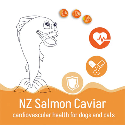 Infographic featuring a drawing of a salmon and caviar pearls, highlighting the cardiovascular, brain, and immunity health benefits of NZ Salmon Caviar for dogs and cats.