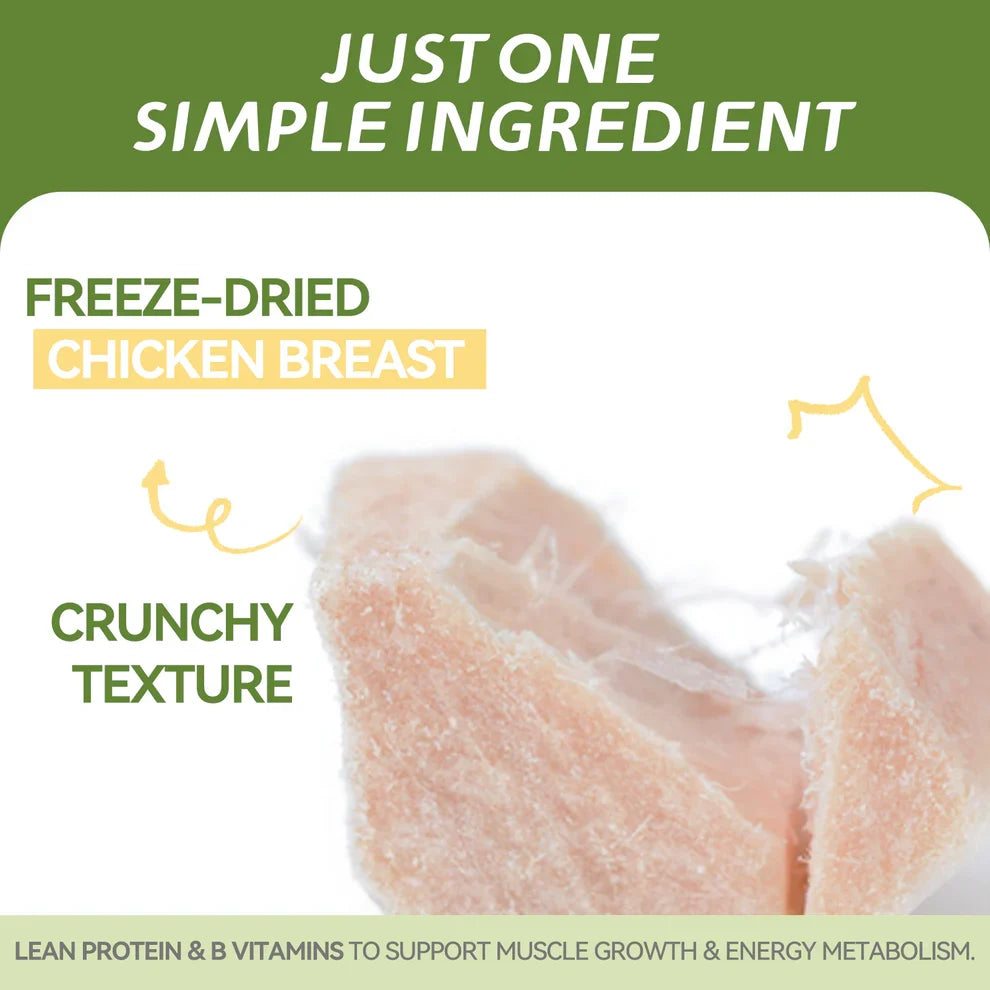 Close-up of freeze-dried chicken breast cubes showing their natural crunchy texture