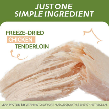 Close-up of freeze-dried chicken fillet showing its natural fibrous texture