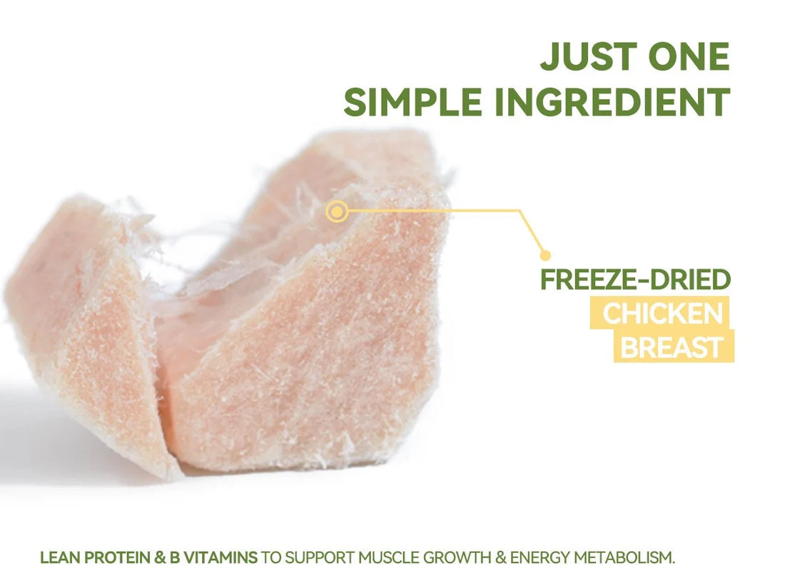 Broken freeze-dried chicken breast cubes showing their natural fibrous meat texture