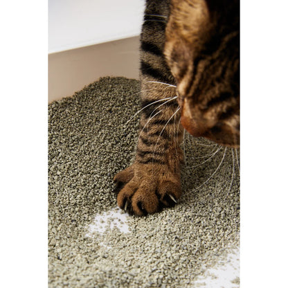 Close-up of a cat’s paw showing the fine granule texture of OPET sodium bentonite cat litter