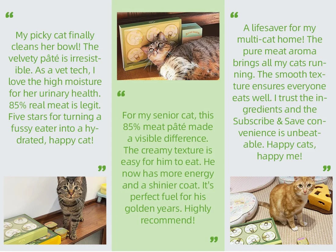Customer review collage featuring cats and OPET TRUE BÖWL wet cat food packs