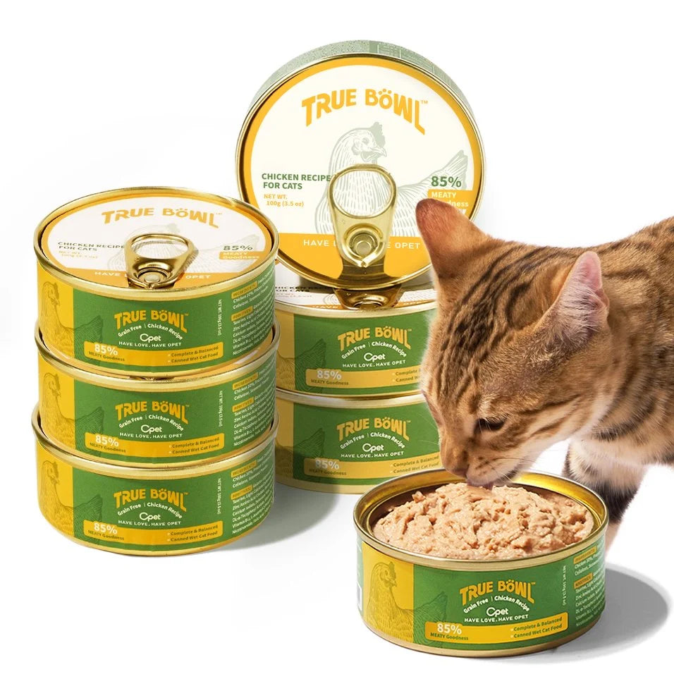 Cat eating OPET TRUE BÖWL Chicken Recipe pâté beside stacked 100g wet cat food cans