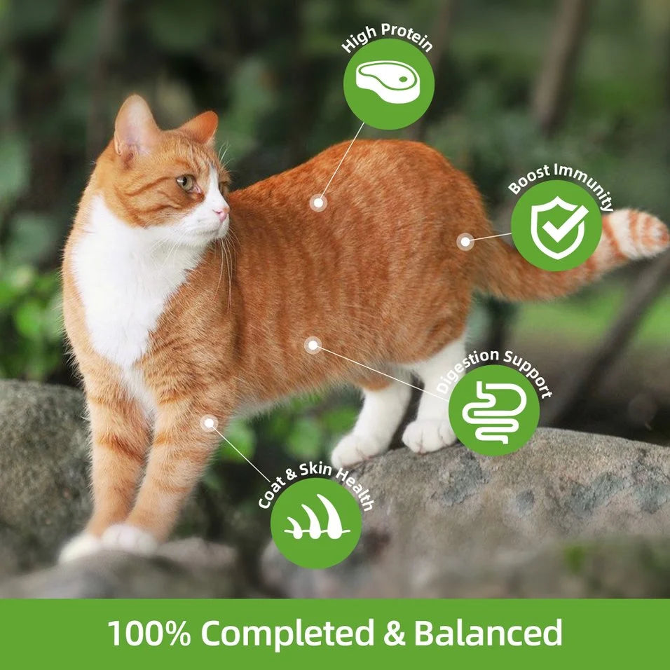 Complete and balanced cat food benefits graphic highlighting protein, digestion, immunity, skin and coat