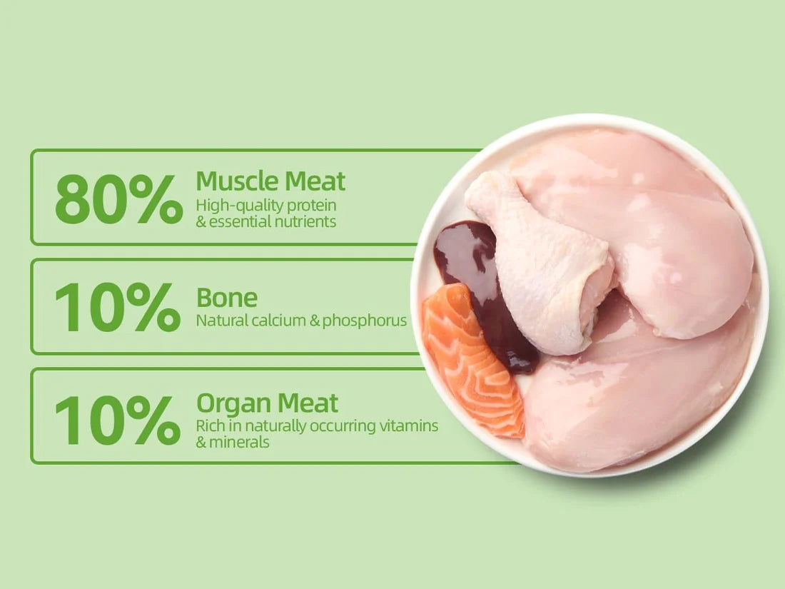 Cat food ingredient ratio graphic showing muscle meat, bone and organ meat