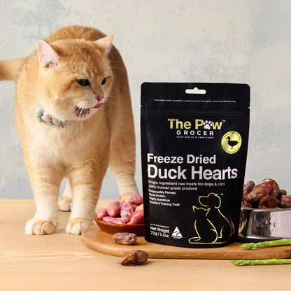 An adorable orange cat licking its lips eagerly next to The Paw Grocer Freeze-Dried Duck Hearts, an allergy-safe, highly digestible muscle meat treat displayed with fresh raw duck hearts.