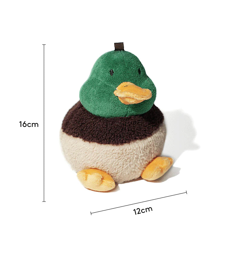 Dimension guide for the PAWZCITY duck waste bag dispenser, showing a height of 16cm and a width of 12cm.
