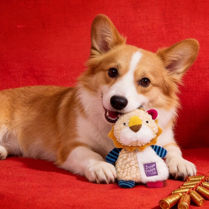 A Corgi dog laying comfortably on a red couch with the ultra-soft plush lion crinkle toy in its mouth, showcasing the perfect cuddle companion for anxious pups.