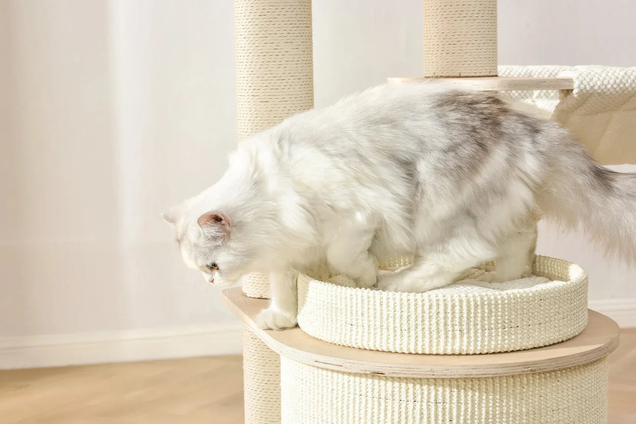 A white fluffy cat stepping out of a plush, lychee-textured cushion basket on the Michu Luna Solid Wood Cat Tree, showcasing smooth wooden edges and premium craftsmanship.
