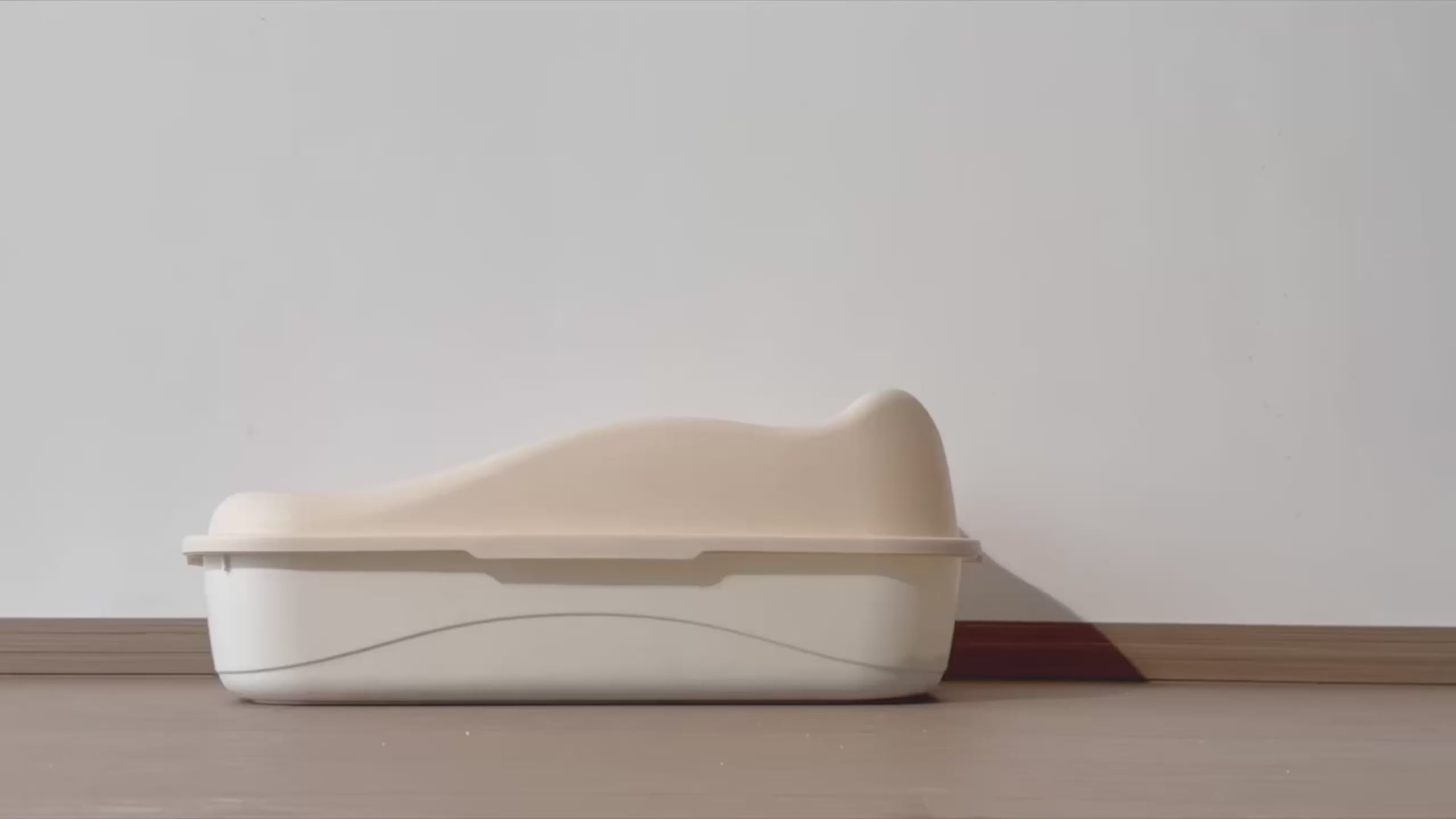 fluffyMW cat litter introduction video