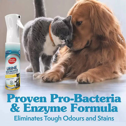 A golden retriever and a grey and white cat resting together on a clean floor next to the Simple Solution spray, with text emphasizing the proven Pro-Bacteria and Enzyme formula that eliminates tough stains.