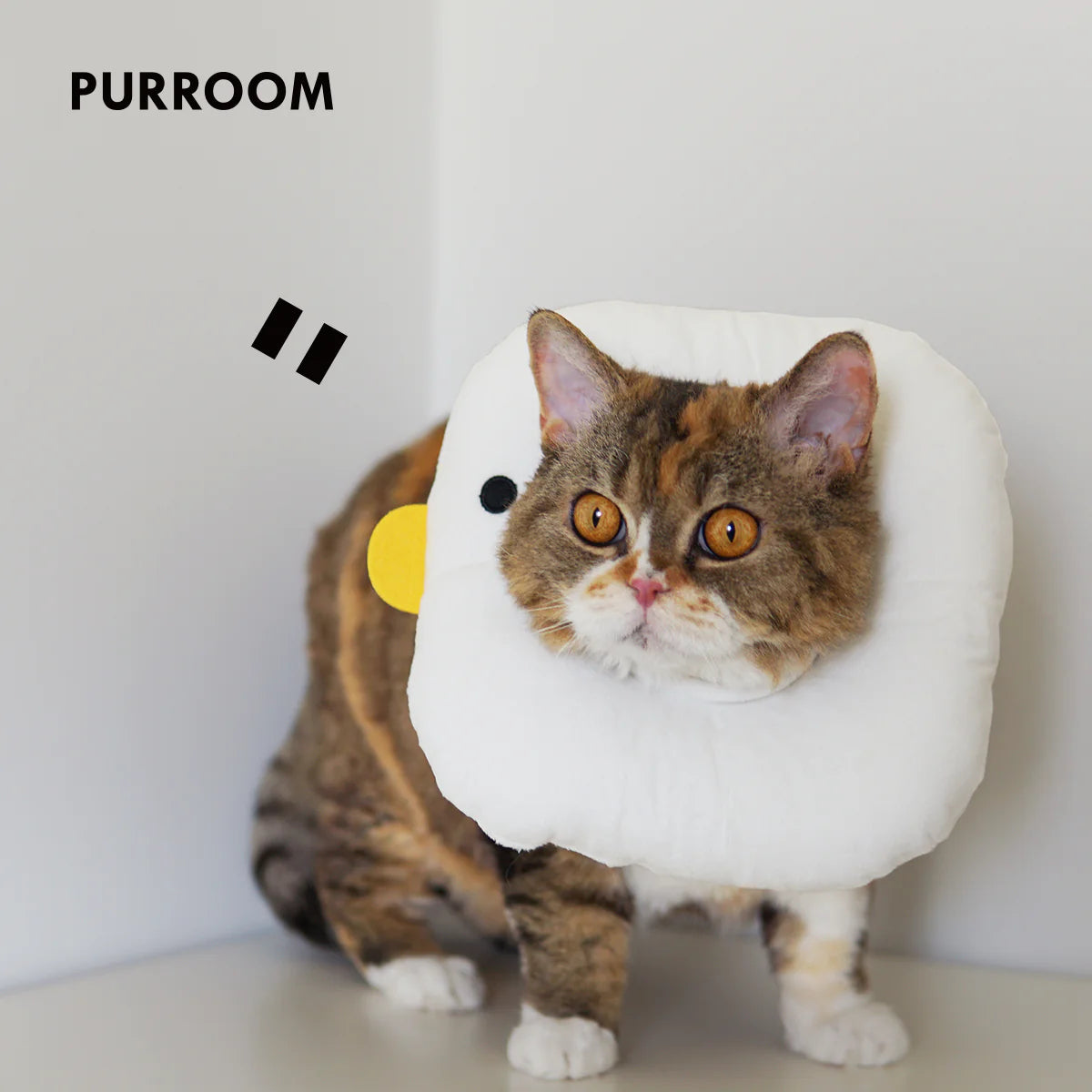 A cute tortoiseshell cat standing while wearing the PURROOM plush chick recovery collar. A soft, comfortable, and photogenic alternative to traditional plastic cones of shame for pets.