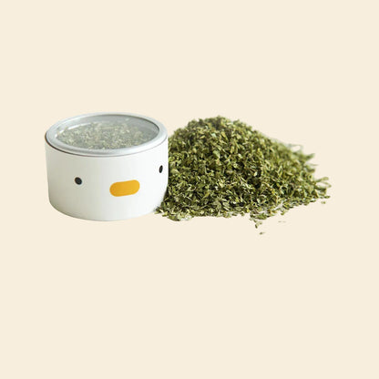 Small container with a lid on a white surface, surrounded by dried natural catnip.
