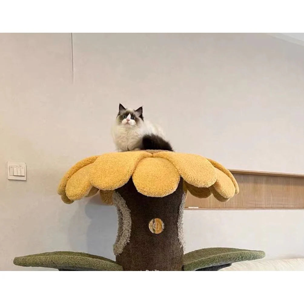 A fluffy Ragdoll cat sitting confidently on the top yellow floral platform of the 127cm tall Camily Sunflower Cat Tree, enjoying its secure vertical territory in a bright living room.