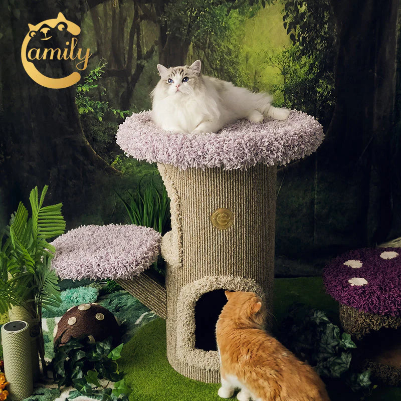 A fluffy Ragdoll cat lounging comfortably on the spacious 62cm light purple top platform of the Camily Mushroom Cat Tree, with a ginger cat exploring the woven base below.