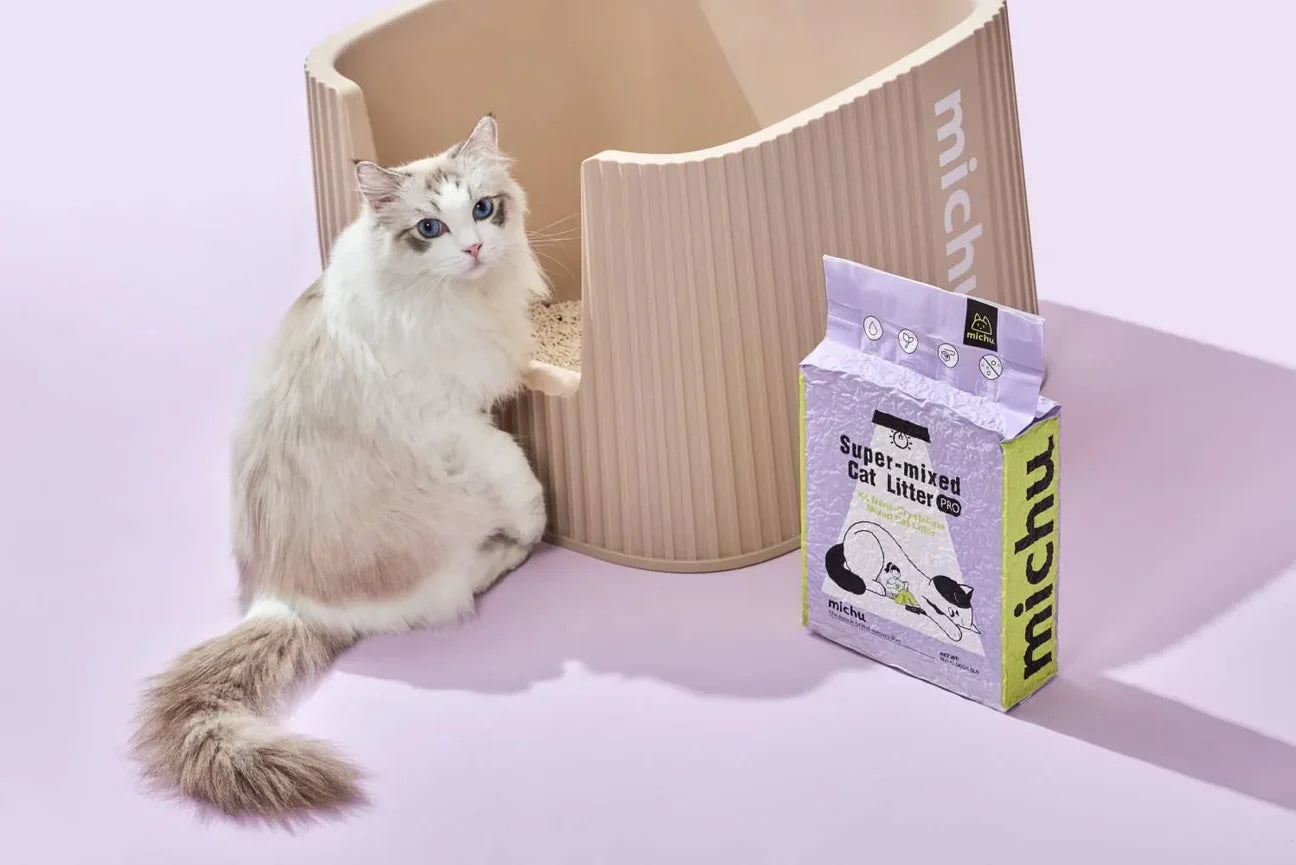 A Ragdoll cat sitting proudly next to a modern beige litter box and a bag of Michu Super-Mixed Tofu Cat Litter Pro Gen2, ensuring a pristine and odor-free home environment.
