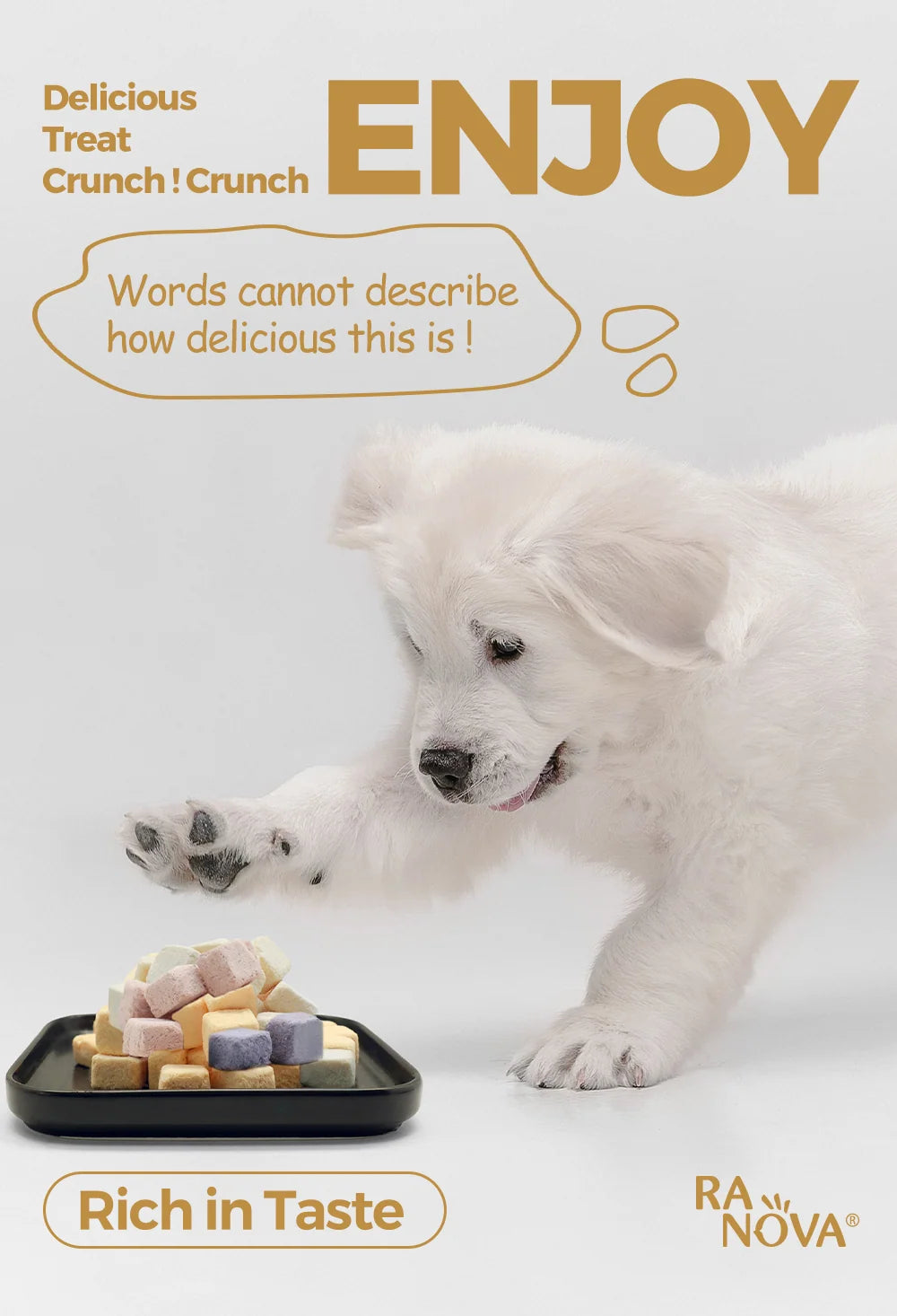 White puppy reaching toward a tray filled with colourful RANOVA freeze-dried yogurt cube treats