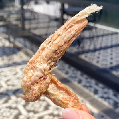 A person holding a single freeze-dried chicken wing tip, showing natural texture and small remaining feathers. A healthy source of keratin protein for pets.