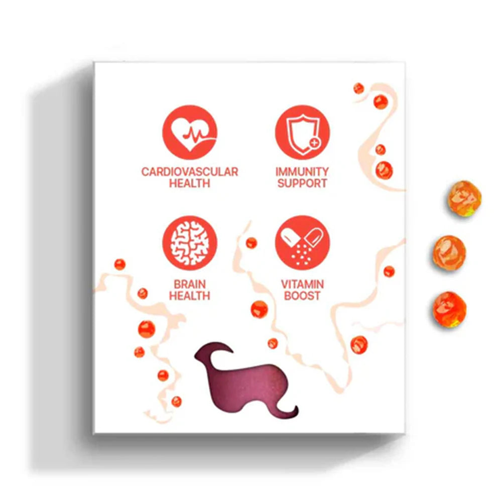 Back of the Kōrure Pets King Caviar box detailing four main health benefits: Cardiovascular Health, Brain Health, Immunity Support, and Vitamin Boost.
