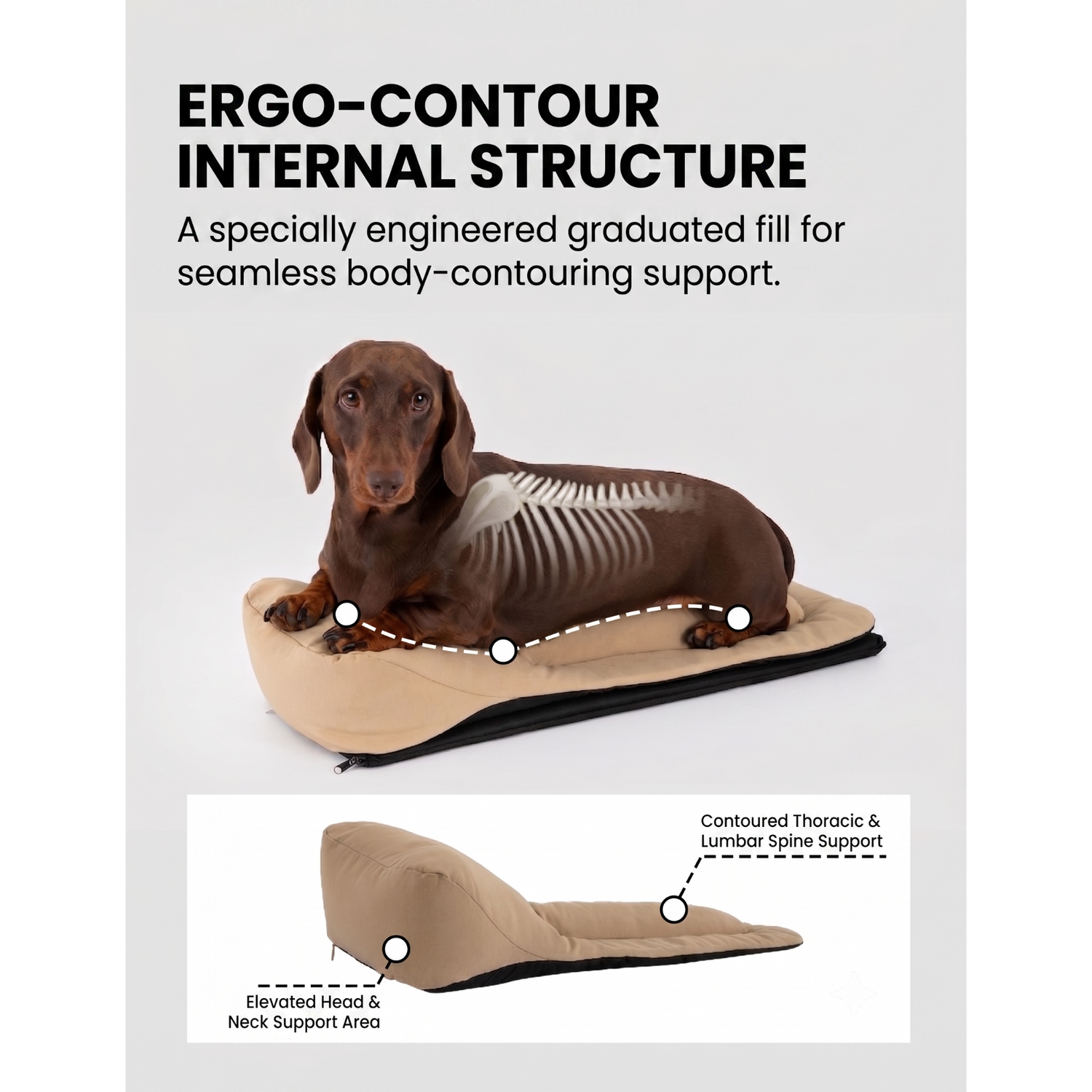 Interior close-up of the carrier, showing the rigid supportive floor and cushion designed to keep a sausage dog’s spine flat.