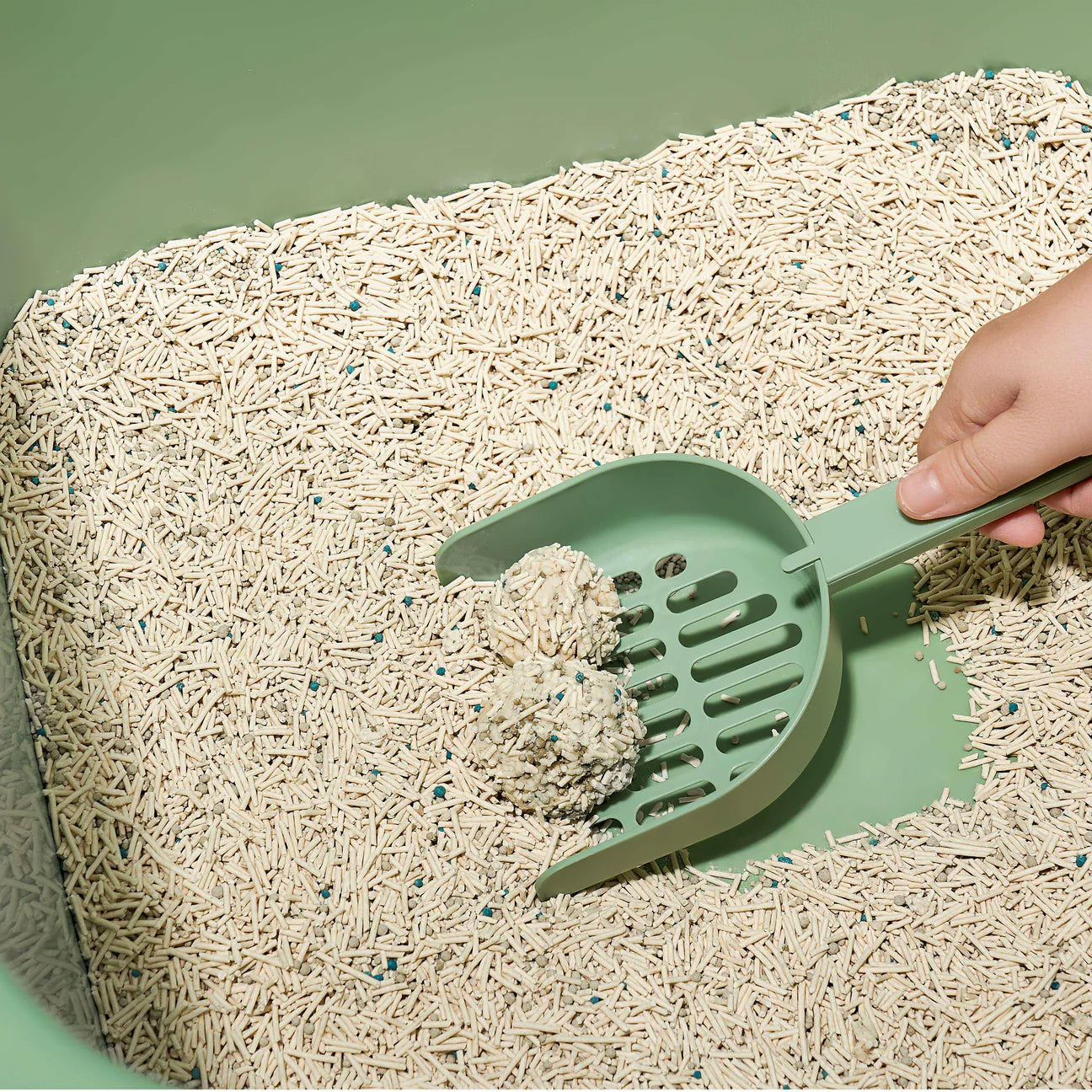 A hand using a green scoop to effortlessly remove two rock-hard clumps from the Michu Mixed Tofu Cat Litter Lite, ensuring a hassle-free, mess-free daily clean-up routine.