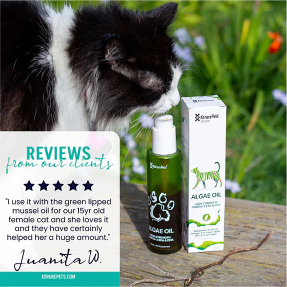 A black and white cat smelling Kōrure Pets Algae Oil outdoors. Features a 5-star customer review stating it helped their 15-year-old female cat a huge amount.